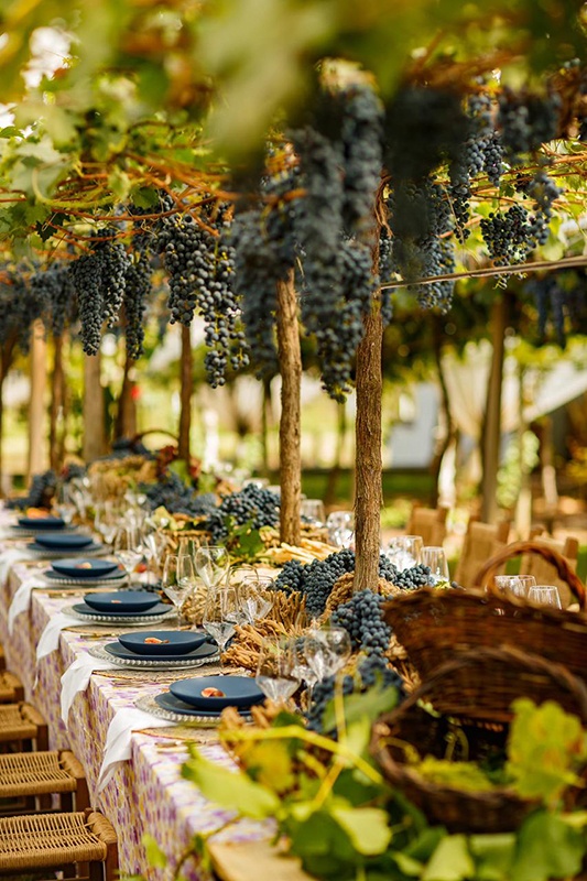 Casamento Vinicola